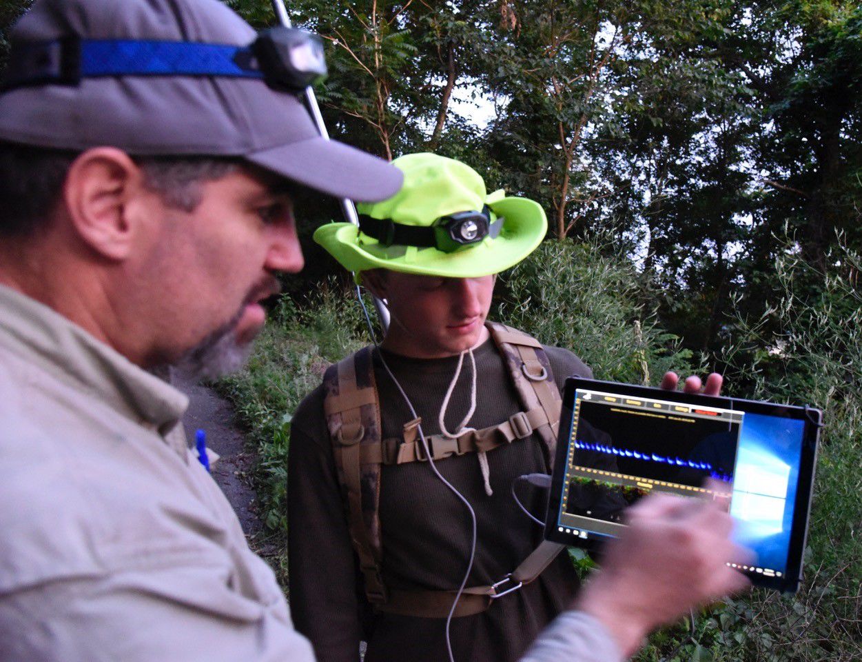 bat survey readings.jpg